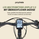 Prophete Geniesser 4.0 City E-Bike 28 Zoll, Rahmenhöhe 48 cm – Bild 3
