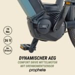 Prophete Geniesser 4.0 City E-Bike 28 Zoll, Rahmenhöhe 48 cm – Bild 4