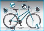 Wildtrak - Stahl-Trekkingrad, Erwachsene, 700C, 6 Gänge - Grün – Bild 5