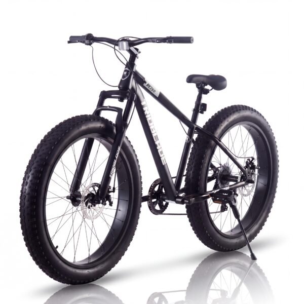 LSBIKE 26 Zoll Erwachsene Mountainbike, Männer und Frauen 7-Gang Schaltung Antriebssystem Mountainbikes, Doppelscheibenbremsen 26*4 Zoll Dicke Reifen Fahrrad, Schwere MTB Fahrräder mit Frontfederung