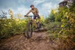 Fischer E-Bike MTB Montis 10.0i Ultimate Elektrofahrrad für Damen und Herren, RH 43, Mittelmotor 90 Nm, 36 V Akku – Bild 10